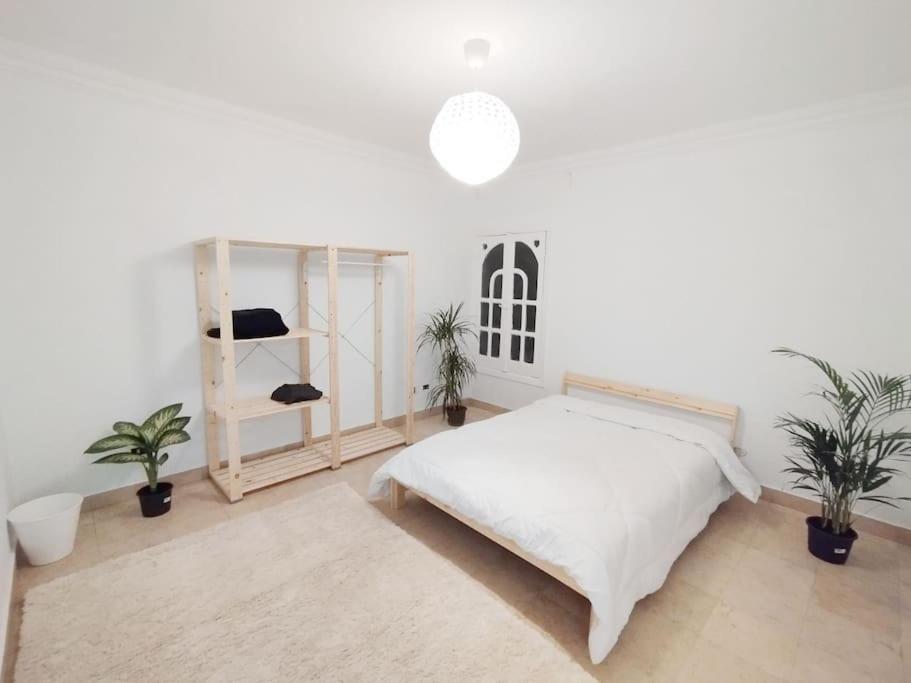 Nile White Bear Apartment *