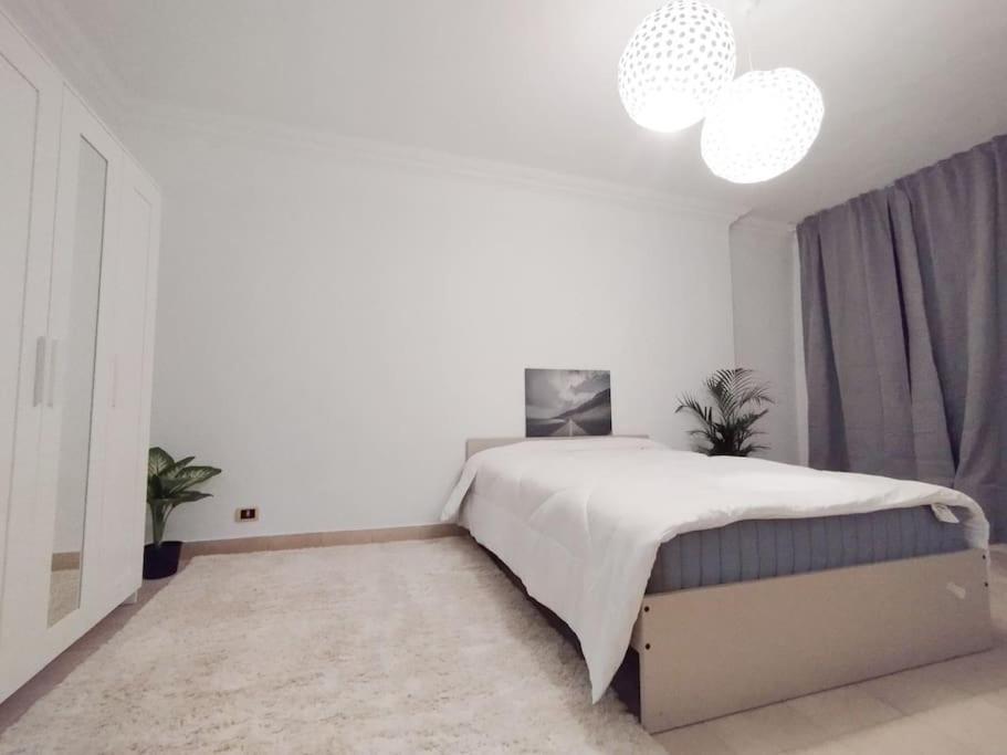 Nile White Bear Apartment *
